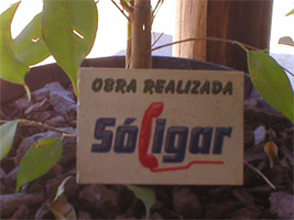 sinaletica madeira