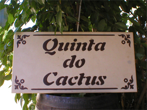 sinaletica madeira